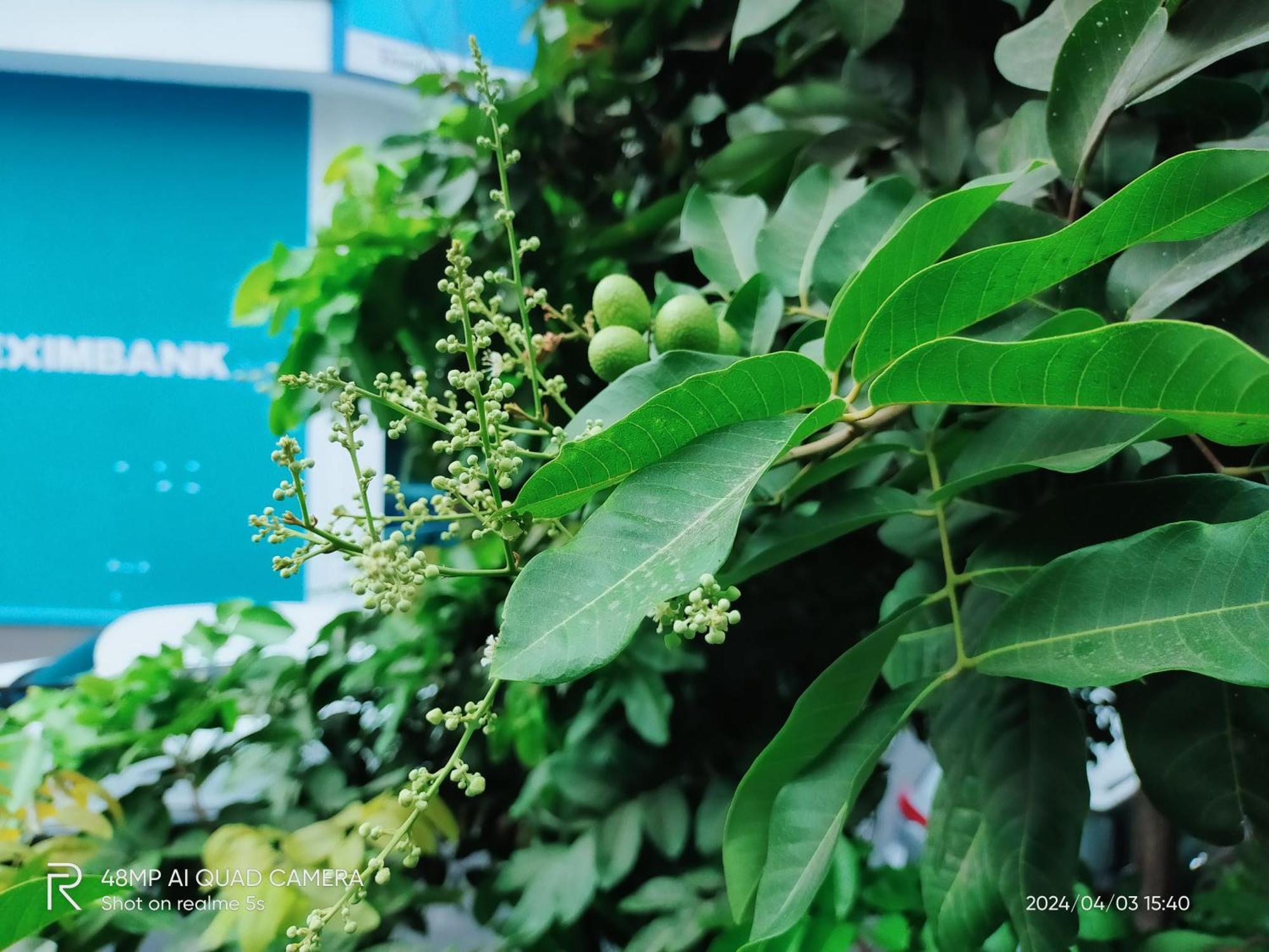 Shusimi House & Boutique Near Tan Son Nhat Airport Ho-Chi-Minh-Stadt Exterior foto
